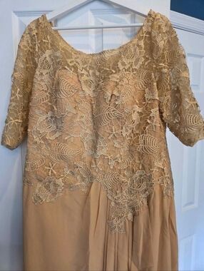 Elegant Lace Overlay Tea-Length Dress in Champagne